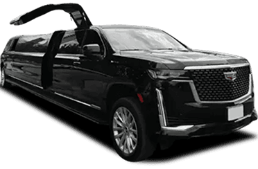 Stretch Limo 16P